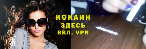 мяу мяу мука Осташков