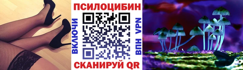 Псилоцибиновые грибы Cubensis  дарнет шоп  Курлово 